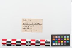 Etiketten zu Glasperle (NHMW-PRAE-024164)
